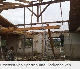 Ersetzen von Sparren und Deckenbalken Ersetzen von Sparren und Deckenbalken
