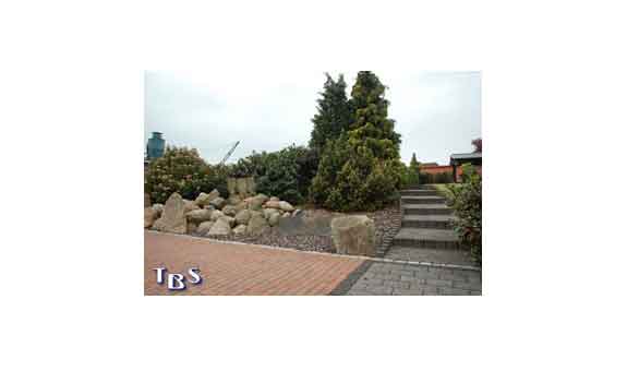 TBS Burgemann GmbH TBS Burgemann GmbH