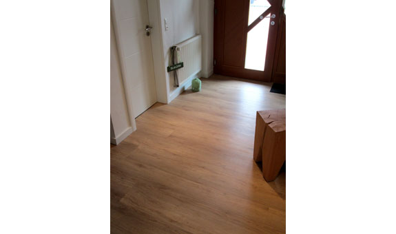 Flurbereich mit Vinyl Flurbereich mit Vinyl