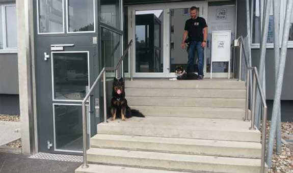 Der Hunde Coach bietet Ihnen auch verschiedene Workshops an Der Hunde Coach bietet Ihnen auch verschiedene Workshops an