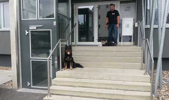 Der Hunde Coach bietet Ihnen auch verschiedene Workshops an