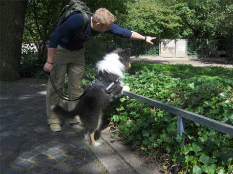 Der Hunde Coach ist Mitglied im Verband Professioneller Hundetrainer Der Hunde Coach ist Mitglied im Verband Professioneller Hundetrainer