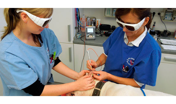 Laserbehandlung in unserer Klinik