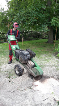 Wir beraten Sie individuell und übernehmen gern die professionelle Umsetzung Ihrer "Gartenträume"