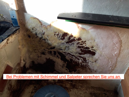 Schimmel und Salpeter - entfernen wir dauerhaft für Sie Schimmel und Salpeter - entfernen wir dauerhaft für Sie