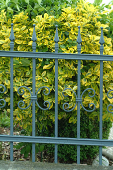 schöne Metallzäune schöne Metallzäune