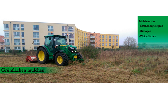 Mulchen von Straßenbegleitgrün, Weideflächen, Biotopen