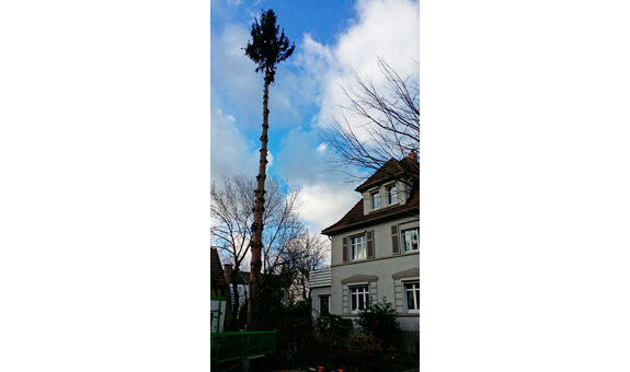 Einblicke in unser Leistungsspektrum Einblicke in unser Leistungsspektrum