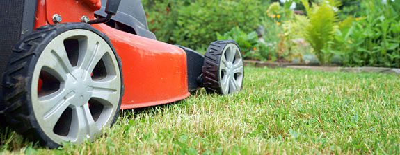 . Die Fußwegreinigung Hannovera  übernimmt die fachgerechte Gartenpflege in Stadt und Region Hannover. Das Unternehmen ist mit 45 Fahrzeugen im Einsatz und bietet neben Reinigungsarbeiten auch professionelle Gartenpflege.