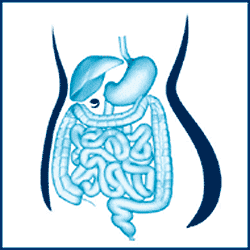 Unser Team aus erfahrenen Ärzten bietet Ihnen umfassendes fachärztliches Know-how und spezialisierte Leistungen in den Bereichen Gastroenterologie, Proktologie, Hapatologie und chronisch-entzündliche Darmerkrankungen (CED)