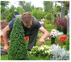 Bild 2 Grawe Blumen in Gütersloh