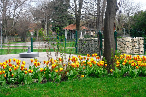 Unmittelbare Nähe zum Stadtpark Unmittelbare Nähe zum Stadtpark