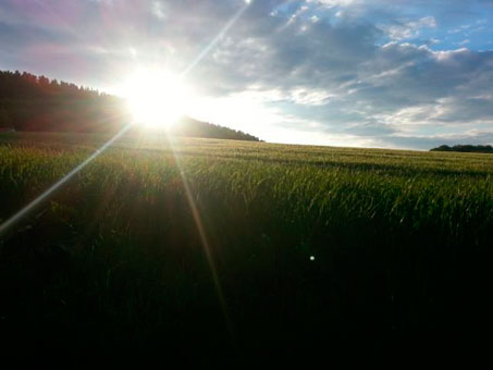 Blick in die Landschaft