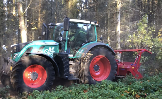 Forstmulcharbeiten Forstmulcharbeiten