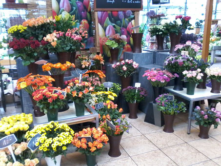 In unserem Geschäft erwartet Sie ein breites Sortiment. Die Qualität und Frische der Pflanzen und Schnittblumen sind uns besonders wichtig. Deshalb bieten wir Ihnen eine große Auswahl aus regionalen Produkten und saisonalen Pflanzen und Schnittblumen aus eigener Produktion an. In unserem Geschäft erwartet Sie ein breites Sortiment. Die Qualität und Frische der Pflanzen und Schnittblumen sind uns besonders wichtig. Deshalb bieten wir Ihnen eine große Auswahl aus regionalen Produkten und saisonalen Pflanzen und Schnittblumen aus eigener Produktion an.