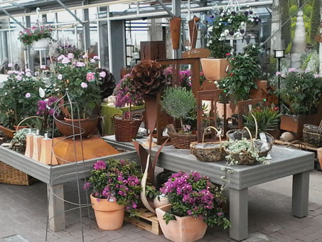In unserem Geschäft erwartet Sie ein breites Sortiment. Die Qualität und Frische der Pflanzen und Schnittblumen sind uns besonders wichtig. Deshalb bieten wir Ihnen eine große Auswahl aus regionalen Produkten und saisonalen Pflanzen und Schnittblumen aus eigener Produktion an. In unserem Geschäft erwartet Sie ein breites Sortiment. Die Qualität und Frische der Pflanzen und Schnittblumen sind uns besonders wichtig. Deshalb bieten wir Ihnen eine große Auswahl aus regionalen Produkten und saisonalen Pflanzen und Schnittblumen aus eigener Produktion an.