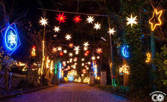 Alles für die Weihnachtsbeleuchtung Alles für die Weihnachtsbeleuchtung