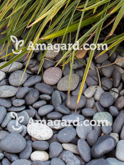 Zierkies - z.B.: Beach Pebbles 16-25mm