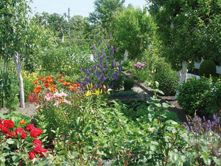 Brendel Garten- und Landschaftsbau GmbH