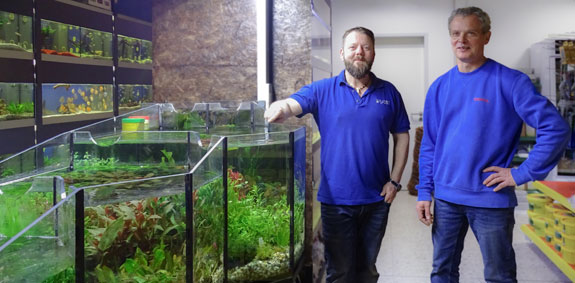 Großes Sortiment an Wasserpflanzen