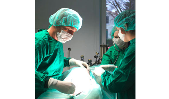 Neben allen gängigen Standardoperationen führen wir auch weiterführende Chirurgie wie z. B. die orthopädische Chirurgie und die Unfallchirurgie im Rahmen des angebotenen Notdienstes durch