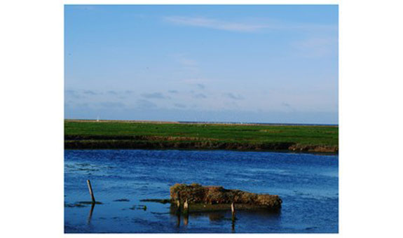 Hallig Seminare Hallig Seminare