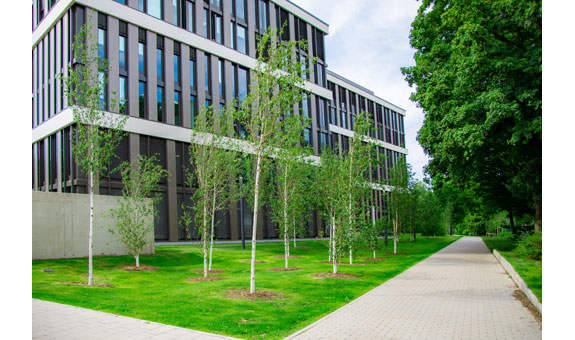 Bild 3 Ahrens Garten- u. Landschaftsbau GmbH & Co. KG in Münster