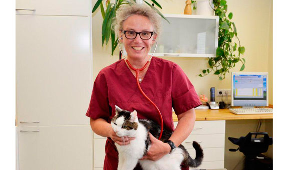 Dr. Tanja Kruse Dr. Tanja Kruse