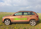 Kundenbild groß 1 Mietwagen Lindstedt