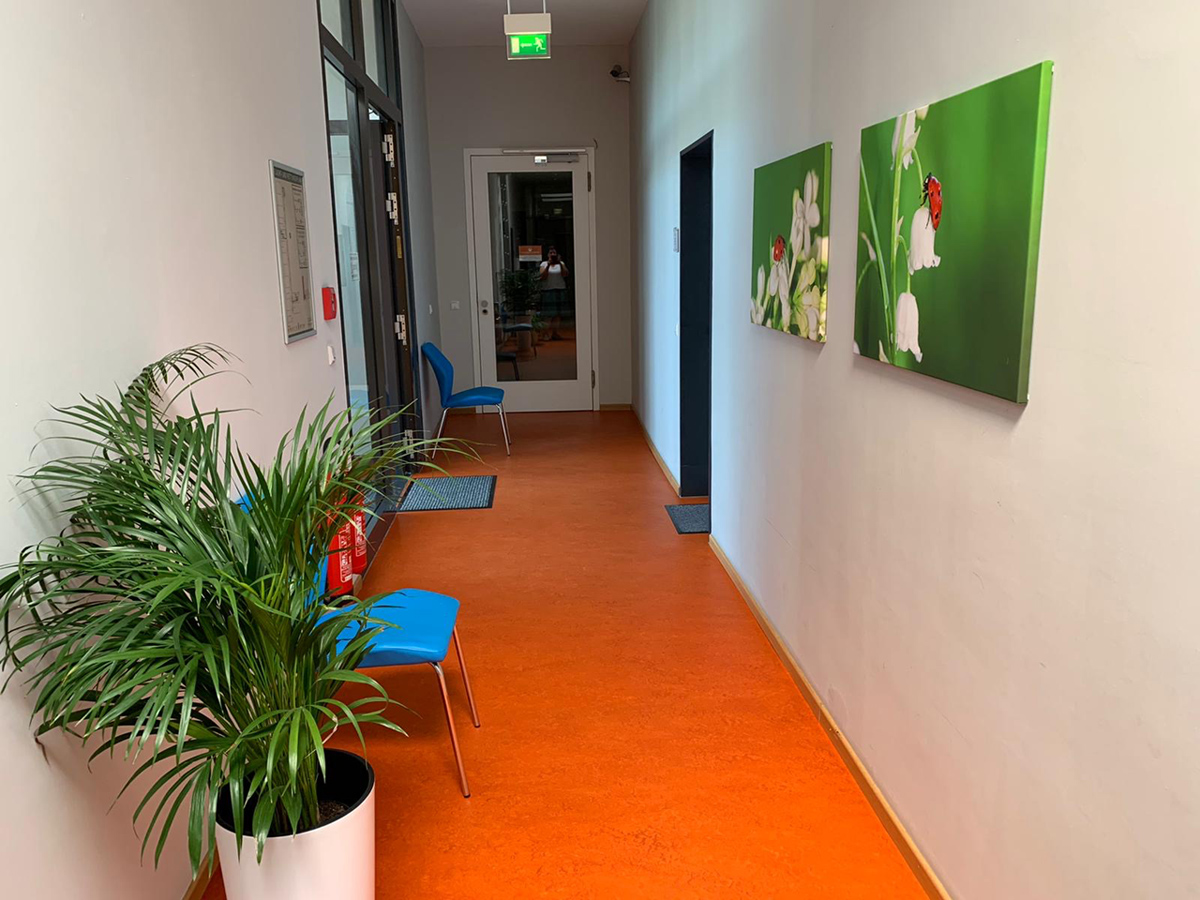 Kundenfoto 6 Logopädische Praxis Willert
