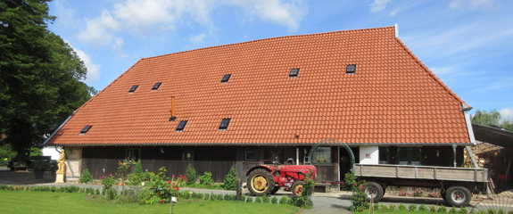 Bild 7 Heine Bedachungen Inh. Ekhard Wilkens in Lachendorf