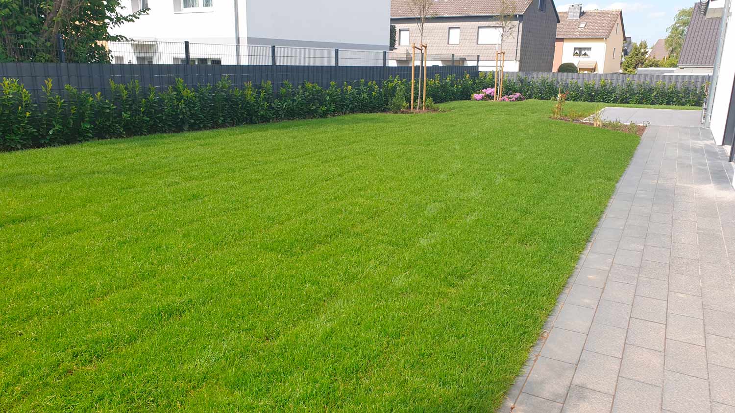 Gartenanlage Rollrasen Pflanzung