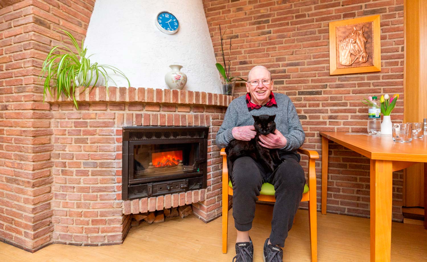 Haustiere vorhanden Haustiere vorhanden