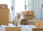 Lokale Empfehlung Easymovers Inh. Lorand Ebrahim Lorand Umzugsunternehmen