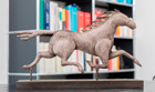Bildergallerie Offeney & Kollegen Anwaltskanzlei und Notar a.D. Hannover