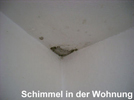 Bildergallerie Vehlhaber Bernd Salzwedel, Hansestadt