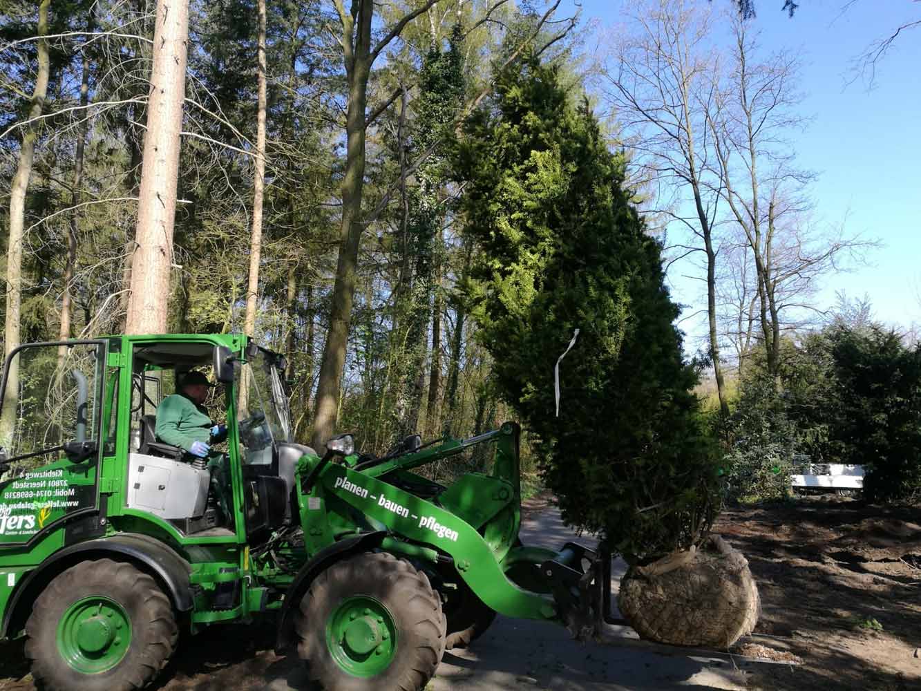 Garten- und Landschaftsbau