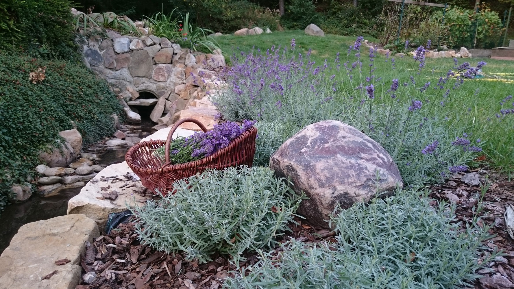 Bild 1 Jäger Gärten in Bad Oeynhausen
