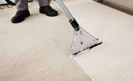 Bild 1 Maik Schmidt PerfectPlus Dienstleistung&Service in Halle (Saale)