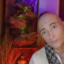 Bild 2 Paddys World Escortservice in Magdeburg