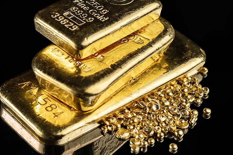 Bild 2 EliteGold in Warendorf