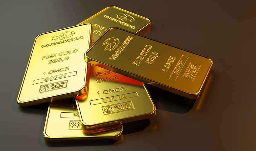 Bild 3 EliteGold in Warendorf
