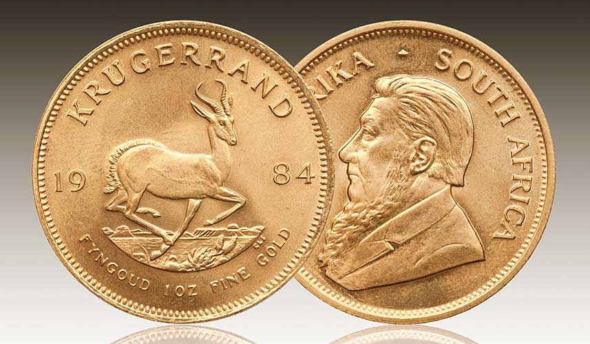 Bild 5 EliteGold in Warendorf