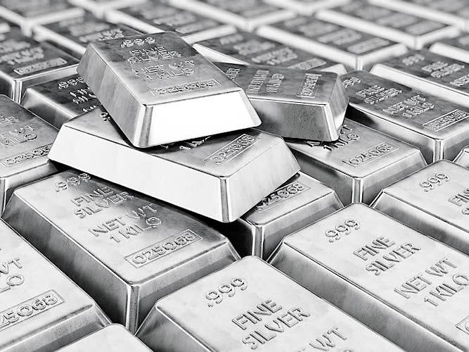 Bild 9 EliteGold in Warendorf