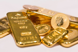 Bild 19 EliteGold in Warendorf