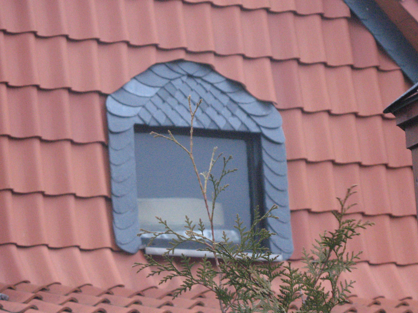 Bild 6 Guse in Edemissen