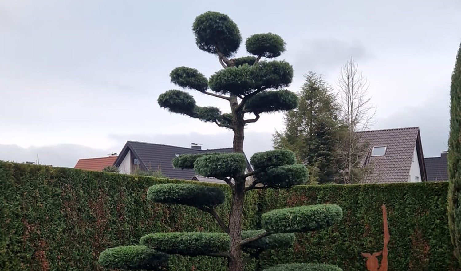 Bild 1 Budde in Lemgo