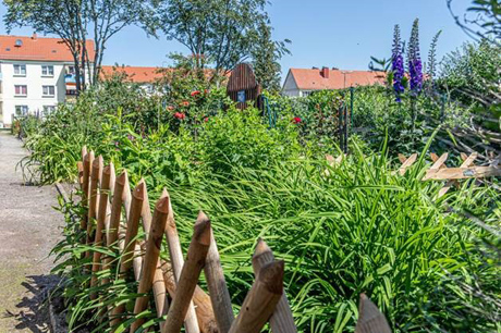 Bild 3 Wohnungsgenossenschaft "Petersberg" eG in Kalbe
