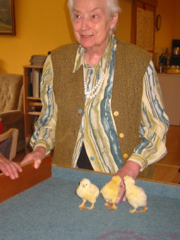 Dr Friedrich Geroldt Haus 77694 Kehl Adresse Telefon Kontakt