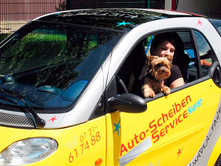 Bild 1 Bild 1